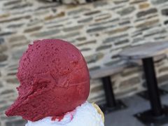 -Patagonia Chocolates(皇后镇店)