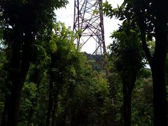-广州市帽峰山景区