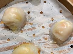 -苏小柳手作点心(控江旭辉分院)