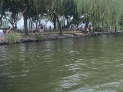 -苏堤停车场