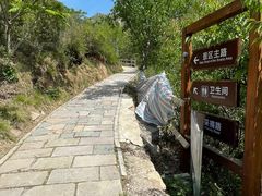-大岭沟猕猴桃谷风景区