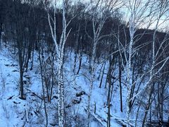 -中旅松花湖滑雪场