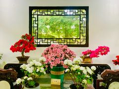 -上海醉白池公园