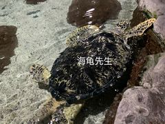 -郑州海洋馆
