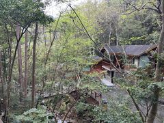 -宁海森林温泉