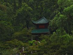 -岳麓山风景名胜区