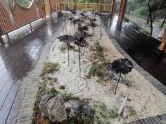 -庐山西海主景区