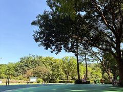 -东莞植物园