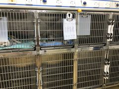 -创凡宠物医院·骨专科  猫科中心(西乡分院)
