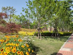 -上海山野camping·户外天幕烧烤·团建拓展营地