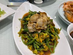 黄瓜花拌扇贝-双井轩(双井店)