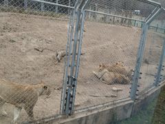 -西安秦岭野生动物园