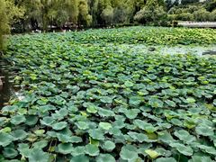 -长春市南湖公园