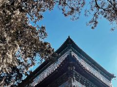 -颐和园