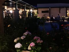 -沙龙酒家
