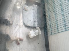 -剧狐剧本杀(徐汇1号店)