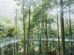 -龙湾潭国家森林公园