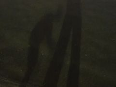 -天鹅湖体育公园