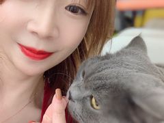 -猫在这儿猫咪咖啡馆·撸猫馆