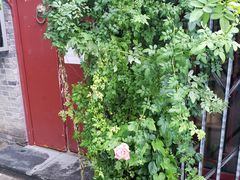 -VOYAGE COFFEE(北锣鼓巷店)