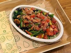 -油梨树 AVOCADO TREE(亮马桥店)