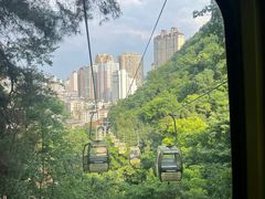 -黔灵山公园