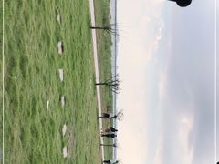 -七的湖·晚芳亭·阳澄湖农家菜·大闸蟹(莲花岛店)