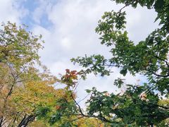 -吉林市朱雀山国家森林公园
