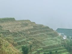 -龙脊梯田