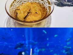 -亚特兰蒂斯•OSSIANO奥西亚诺海底餐厅