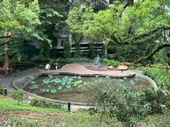-香港大学