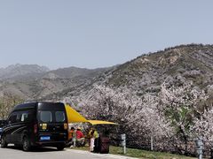 -中华福寿山
