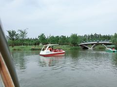 -上海长兴岛郊野公园