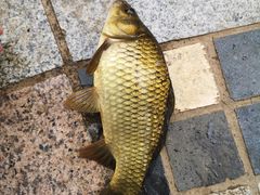 -酷鱼垂钓CLUB(朝阳区博大路店 )