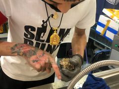 -HIHE Bistro·Oyster Bar(华熙live店)