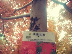 -辽宁大学(崇山校区)