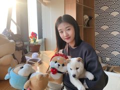 -柴犬小屋·柴餐厅·狗咖食堂(金鼎广场店)