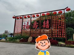 -合肥滨湖国家森林公园