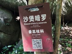 -七仙岭温泉国家森林公园