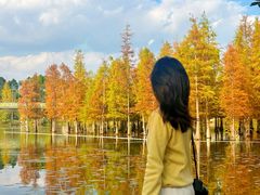 -白鹭湾湿地公园