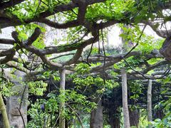 -广西壮族自治区药用植物园