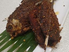 傣味鲫鱼-云腾食府·云南菜