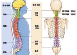 -归位瑜伽&归位普拉提