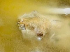 -19号私房菜(云南路店)