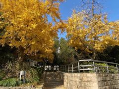 -苏州河梦清园环保主题公园