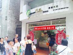 -柠檬车露(卖草地店)