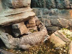 -上海大自然野生昆虫馆