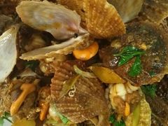 -烁佳海鲜大馅饺子