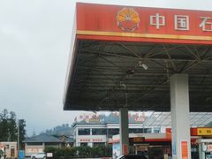 -贡椒鱼老店·雅安十大名店