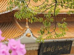 -深圳仙湖植物园